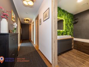 Prodej bytu 3+kk, Olomouc, Ostrovní, 263 m2