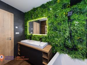 Prodej bytu 3+kk, Olomouc, Ostrovní, 263 m2