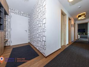 Prodej bytu 3+kk, Olomouc, Ostrovní, 263 m2