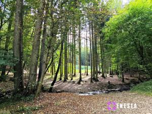 Prodej rodinného domu, Svinaře - Halouny, K Vodárně, 163 m2