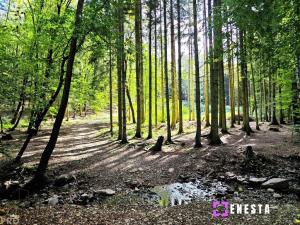 Prodej rodinného domu, Svinaře - Halouny, K Vodárně, 163 m2