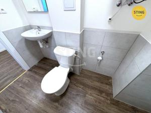 Pronájem bytu 1+kk, Ostrava - Přívoz, Palackého, 29 m2