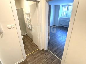 Pronájem bytu 1+kk, Ostrava - Přívoz, Palackého, 29 m2