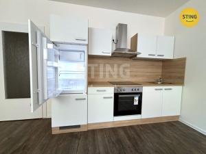 Pronájem bytu 1+kk, Ostrava - Přívoz, Palackého, 29 m2
