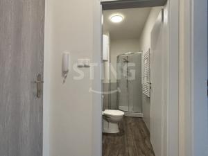 Pronájem bytu 1+kk, Ostrava - Přívoz, Palackého, 29 m2
