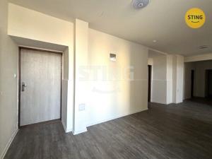 Pronájem bytu 1+kk, Ostrava - Přívoz, Palackého, 29 m2