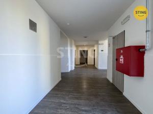 Pronájem bytu 1+kk, Ostrava - Přívoz, Palackého, 29 m2