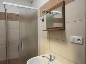 Pronájem bytu 1+1, České Budějovice - České Budějovice 6, Novohradská, 34 m2