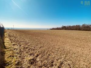 Prodej zahrady, Dobšice, 7000 m2