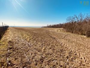 Prodej zahrady, Dobšice, 7000 m2