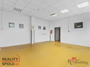 Prodej rodinného domu, Jablonec nad Nisou - Mšeno nad Nisou, Želivského, 300 m2