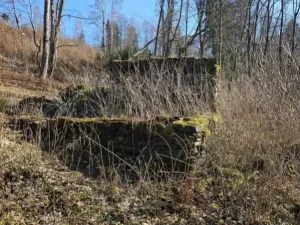 Prodej pozemku pro bydlení, Vysoké nad Jizerou - Stará Ves, 482 m2