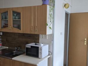 Pronájem bytu 2+1, Ústí nad Labem - Mojžíř, Jindřicha Plachty, 68 m2