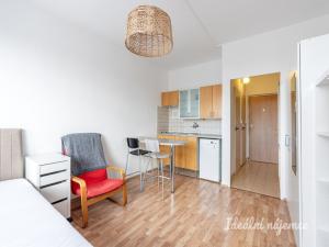 Pronájem bytu 1+kk, Praha - Michle, Bítovská, 23 m2