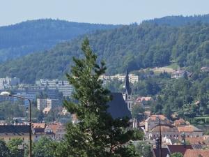 Prodej bytu 3+1, Český Krumlov - Domoradice, Urbinská, 78 m2
