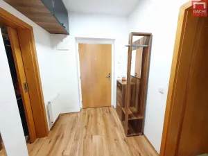 Prodej bytu 2+kk, Olomouc, Družební, 1900 m2