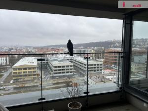 Pronájem bytu 4+kk, Praha - Vysočany, Pechmanových, 119 m2