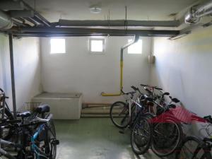 Pronájem bytu 1+1, Sušice - Sušice II, Scheinostova, 37 m2