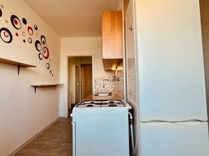 Pronájem bytu 1+1, Ostrava - Výškovice, Lužická, 38 m2