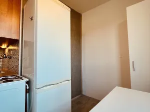 Pronájem bytu 1+1, Ostrava - Výškovice, Lužická, 38 m2