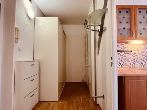 Pronájem bytu 1+1, Ostrava - Výškovice, Lužická, 38 m2