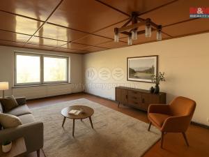 Prodej rodinného domu, Veselí nad Lužnicí - Veselí nad Lužnicí I, Budějovická, 290 m2