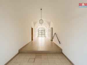 Prodej rodinného domu, Veselí nad Lužnicí - Veselí nad Lužnicí I, Budějovická, 290 m2