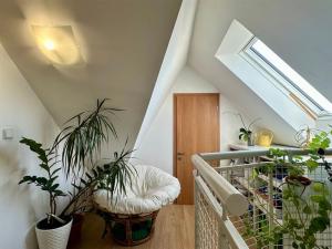 Prodej bytu 4+kk, Cheb, Hálkova, 132 m2