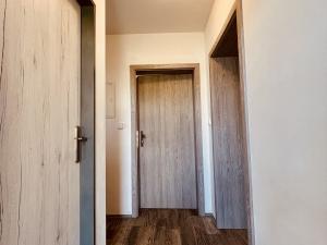 Pronájem bytu 1+kk, Frýdek-Místek - Místek, Družstevní, 27 m2