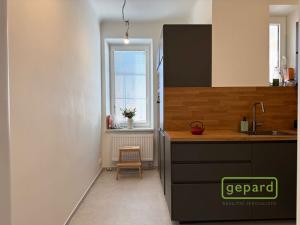 Pronájem bytu 3+1, Olomouc, Masarykova třída, 107 m2