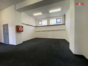 Pronájem skladu, Louny, Říční, 150 m2