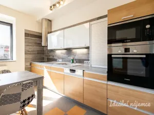 Pronájem bytu 3+kk, Hradec Králové - Pražské Předměstí, Albertova, 55 m2