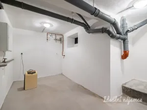 Pronájem bytu 3+kk, Hradec Králové - Pražské Předměstí, Albertova, 55 m2
