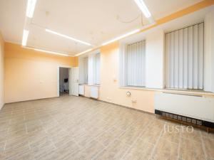 Prodej obchodního prostoru, České Budějovice - České Budějovice 1, nám. Přemysla Otakara II., 301 m2
