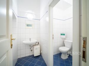 Prodej obchodního prostoru, České Budějovice - České Budějovice 1, nám. Přemysla Otakara II., 301 m2