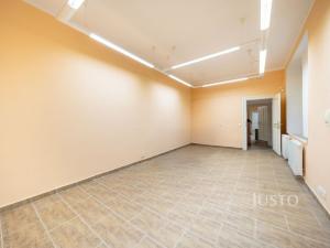 Prodej obchodního prostoru, České Budějovice - České Budějovice 1, nám. Přemysla Otakara II., 301 m2