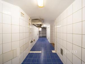Prodej obchodního prostoru, České Budějovice - České Budějovice 1, nám. Přemysla Otakara II., 301 m2