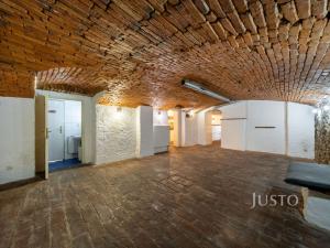 Prodej obchodního prostoru, České Budějovice - České Budějovice 1, nám. Přemysla Otakara II., 301 m2