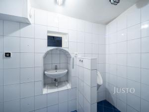 Prodej obchodního prostoru, České Budějovice - České Budějovice 1, nám. Přemysla Otakara II., 301 m2