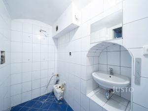 Prodej obchodního prostoru, České Budějovice - České Budějovice 1, nám. Přemysla Otakara II., 301 m2