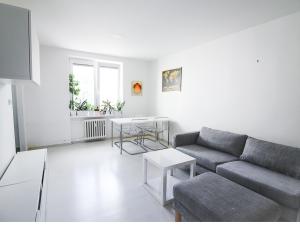 Pronájem bytu 2+1, Brno - Staré Brno, Výstavní, 51 m2