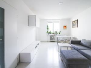Pronájem bytu 2+1, Brno - Staré Brno, Výstavní, 51 m2
