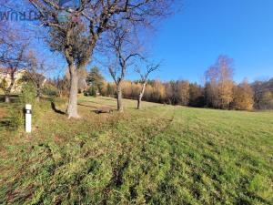 Prodej louky, Železný Brod - Bzí, 6834 m2