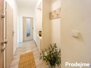 Prodej bytu 3+1, Brno - Lesná, Nejedlého, 65 m2