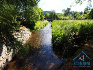 Prodej chalupy, Stará Paka - Roškopov, 250 m2