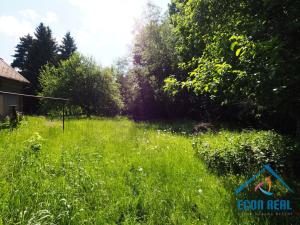Prodej chalupy, Stará Paka - Roškopov, 250 m2