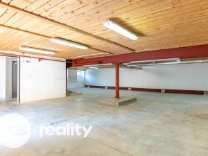 Pronájem obchodního prostoru, Troubsko, Jihlavská, 450 m2