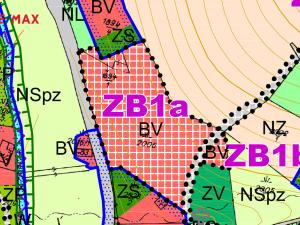 Prodej pozemku pro bydlení, Říčky v Orlických horách, 3863 m2