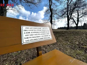 Prodej pozemku pro bydlení, Říčky v Orlických horách, 3863 m2