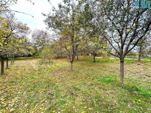 Pronájem pozemku pro bydlení, Kramolín, 173500 m2